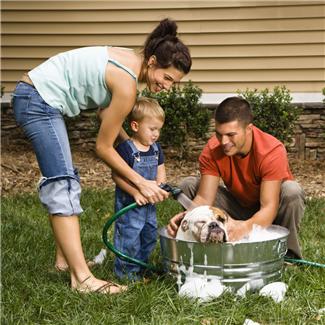 Joint Attention - toddler and parents looking at dog in bath